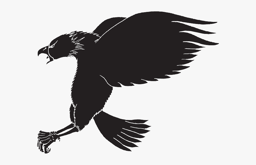 Wings Silhouette At Getdrawings - Orzel, Transparent Clipart