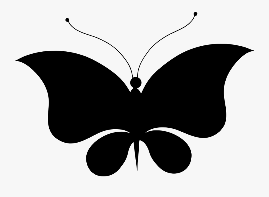 Free Photo Butterfly Silhouette Wings Animal Flourish - Бабочка Силуэт, Transparent Clipart
