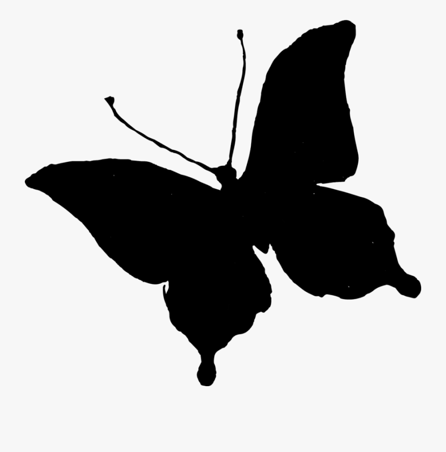 Download Clip Art Brush-footed Butterflies Silhouette Portable ...