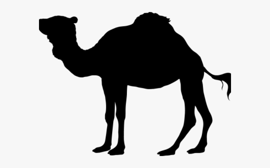 Camels Clipart Three Kings - Animal, Transparent Clipart
