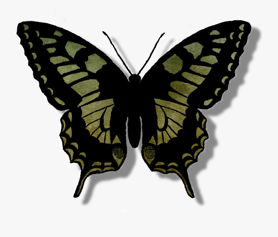 Butterfly Image Digital Scrapbook Element - Draw A Mourning Cloak Butterfly, Transparent Clipart