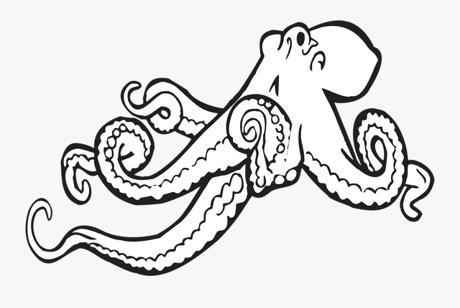 Transparent Sea Animal Clipart Black And White - Black And White Octopus Clipart, Transparent Clipart