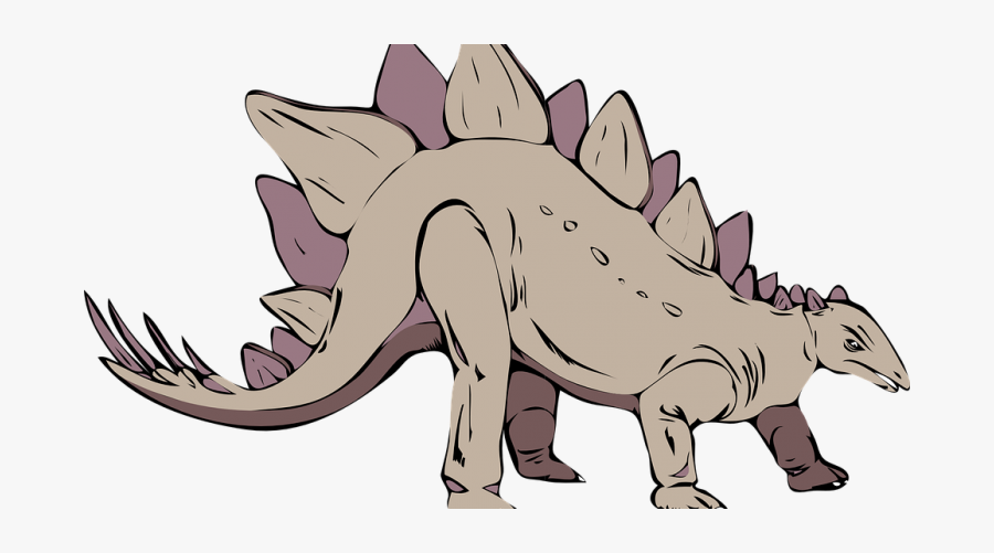 What Are The Best Dinosaur Toys - Stegosaurus Drawings, Transparent Clipart