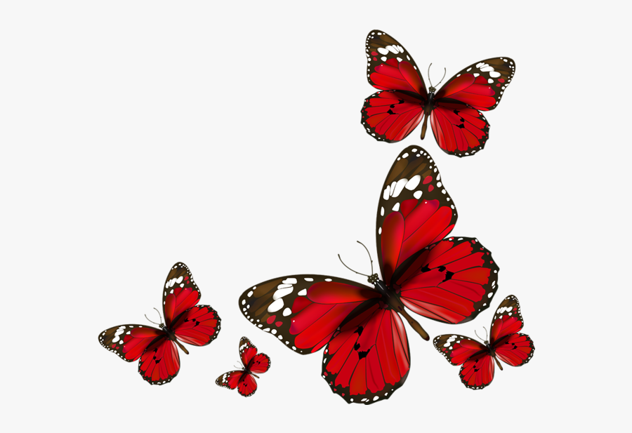 Red Butterfly Transparent Background Free Transparent Clipart Clipartkey