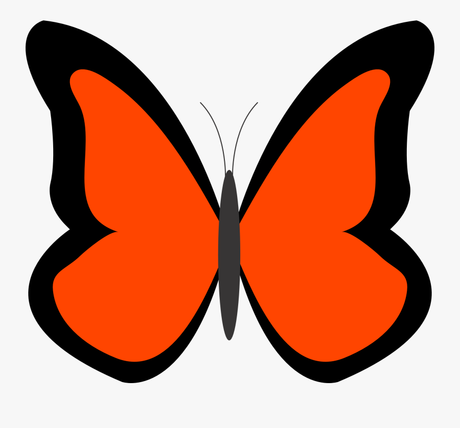 Orange Color Panda Free - Clip Art Blue Butterfly, Transparent Clipart