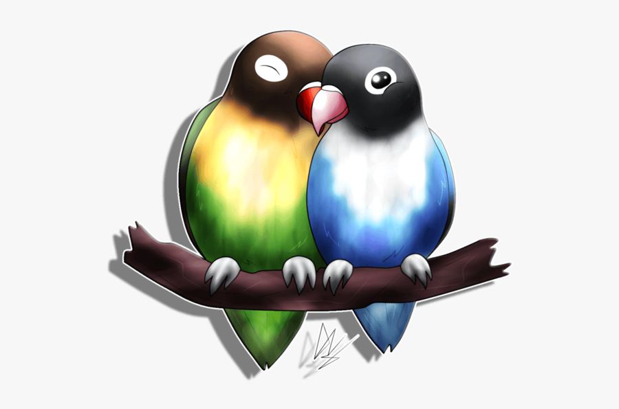 Lovebird Png, Transparent Clipart