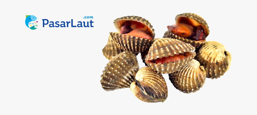 Pasar Laut On Twitter - Pasar Laut, Transparent Clipart