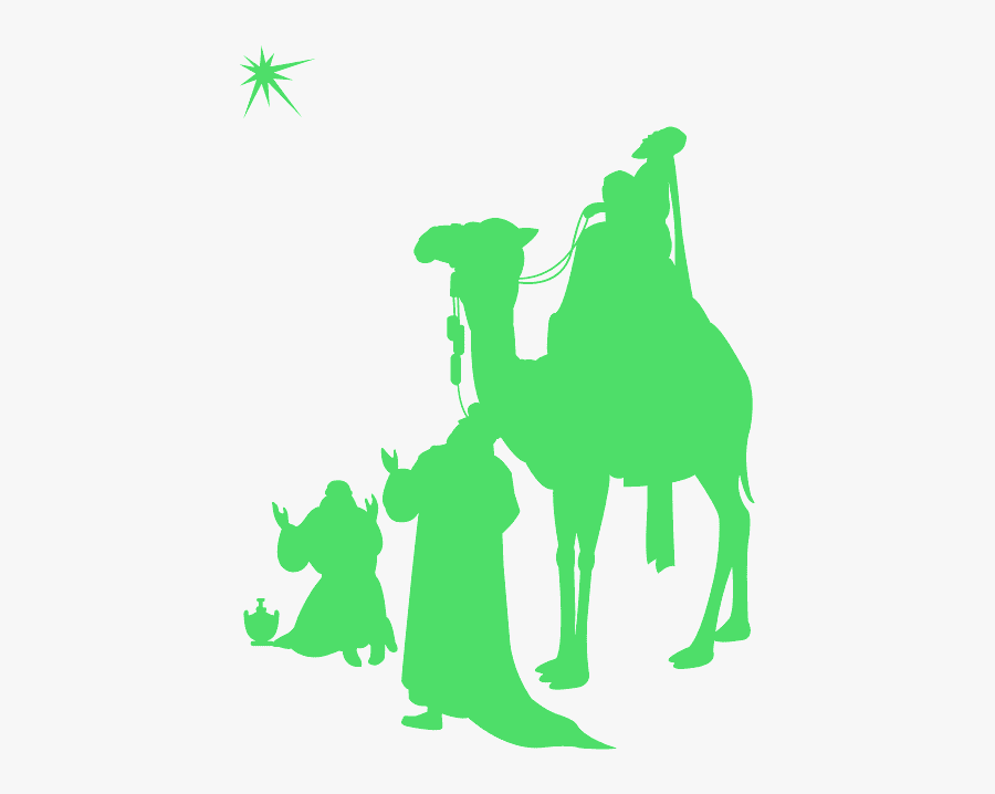 Arabian Camel, Transparent Clipart