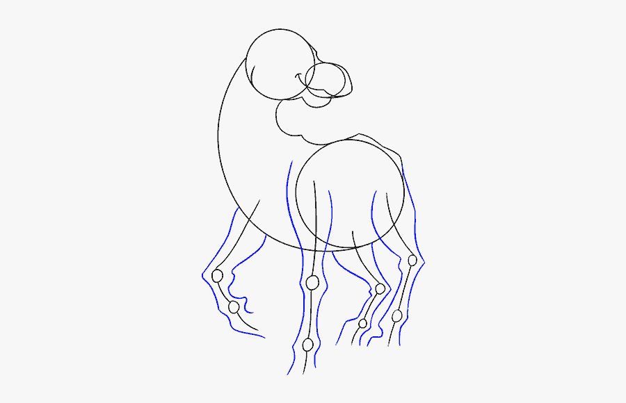 How To Draw Cartoon Horse - Line Art, Transparent Clipart