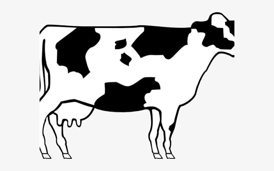 Cow Compared To Buffalo, Transparent Clipart