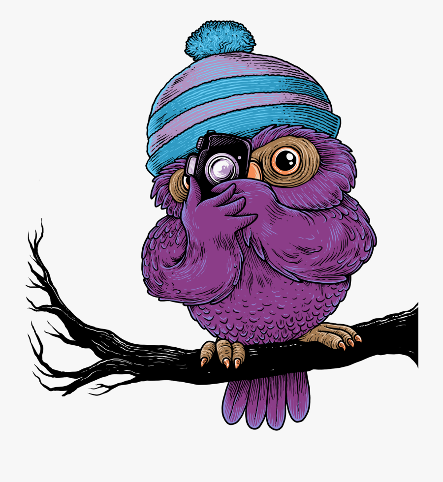 Phil The Owl Photographer Has A Bird"s Eye View For - Birds Eye View Clipart, Transparent Clipart