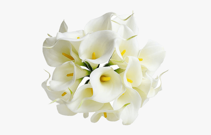 Flowers Mala Png - Calla Lily Flower Png, Transparent Clipart