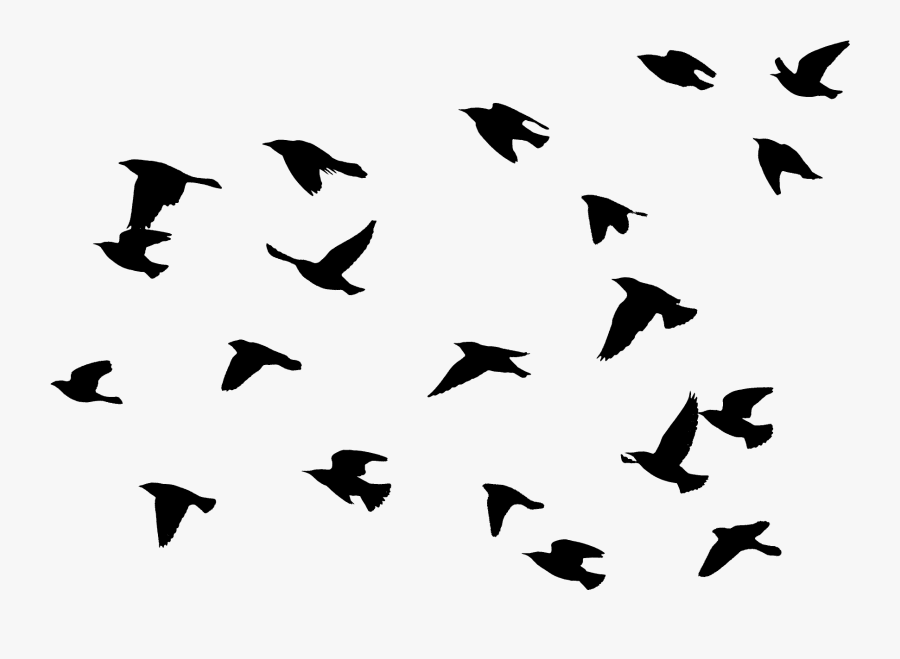 Bird Flying Png -download File - Easy Bird Flying Painting, Transparent Clipart