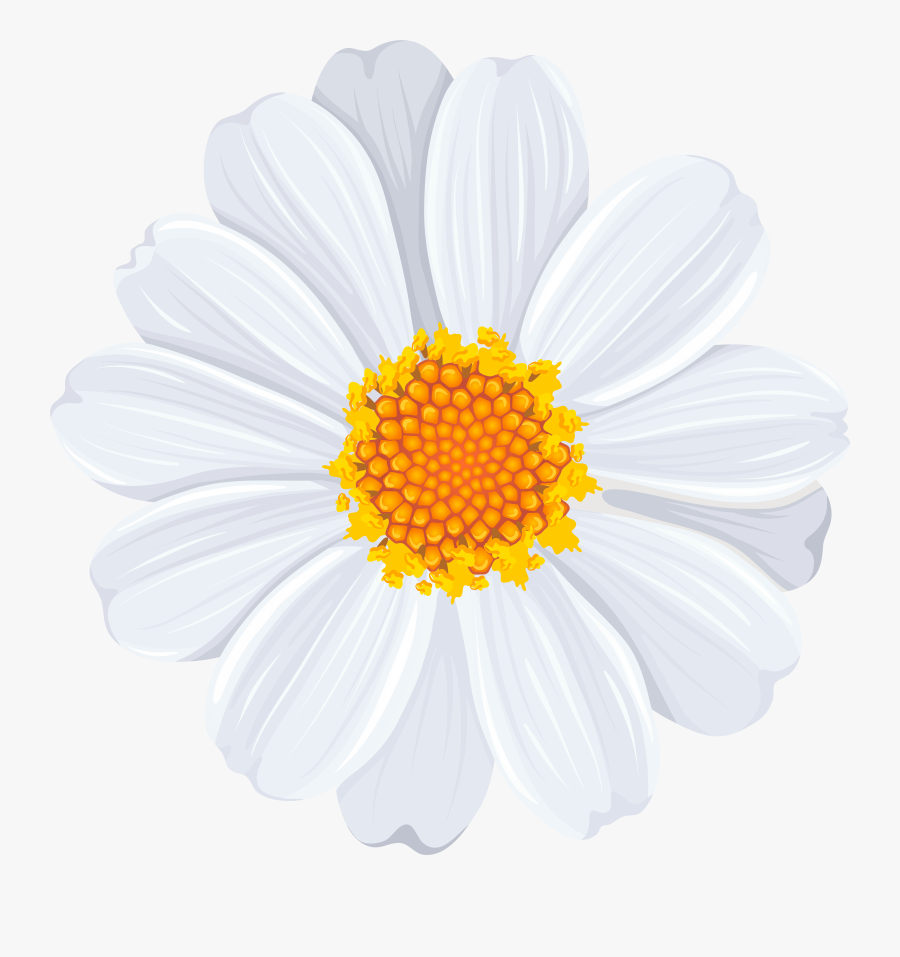 White Daisy Clipart Clip Art Of Daisy Clipart 4382, Transparent Clipart