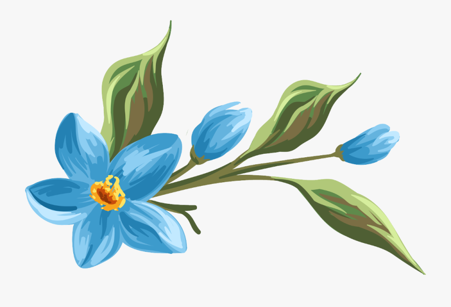 #daisy #blast #bloom #flower #border #flowers #white - Lily, Transparent Clipart