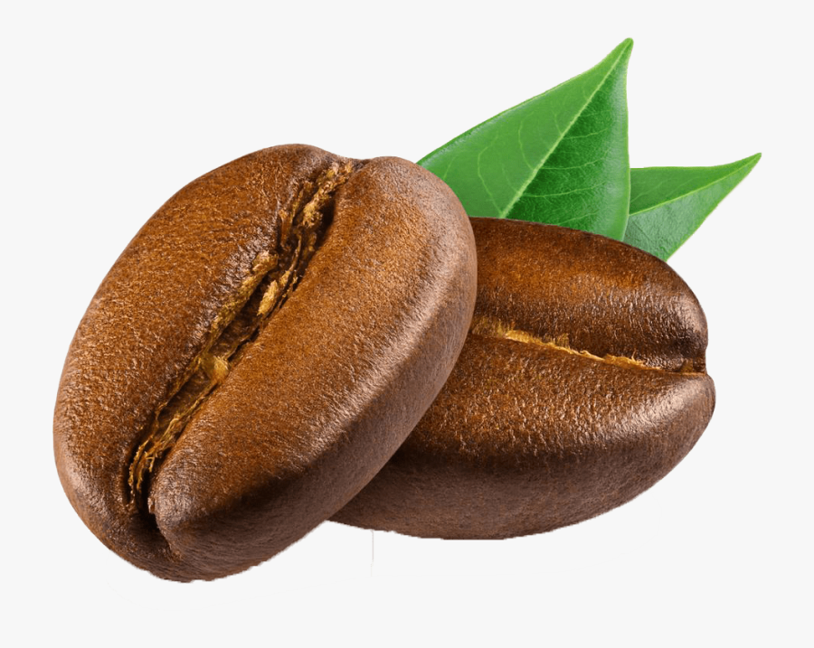 Coffee Bean Png - Coffee Bean Png Hd, Transparent Clipart