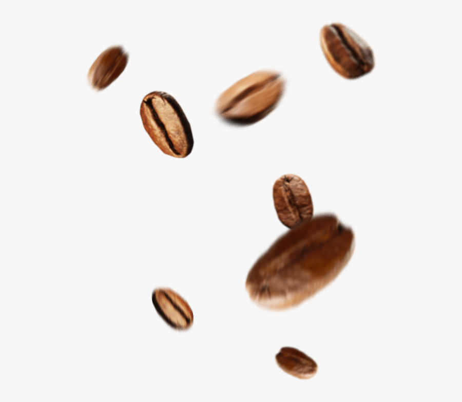 Beans - Seed - Seed, Transparent Clipart
