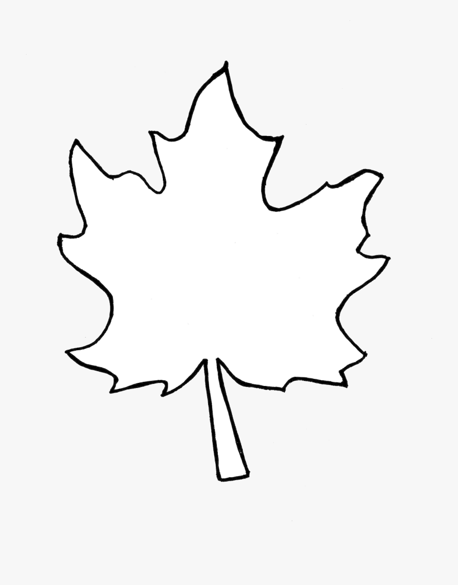 Leaf Outline Collection Fall Leaves Pictures Transparent - Fall Leaf Outline Png, Transparent Clipart