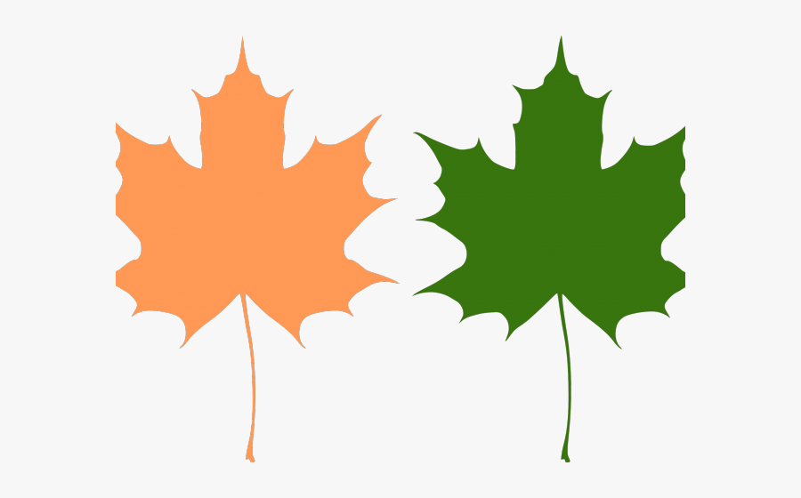 Maple Leaf Clipart Big Leaf - Maple Leaves Vector, Transparent Clipart