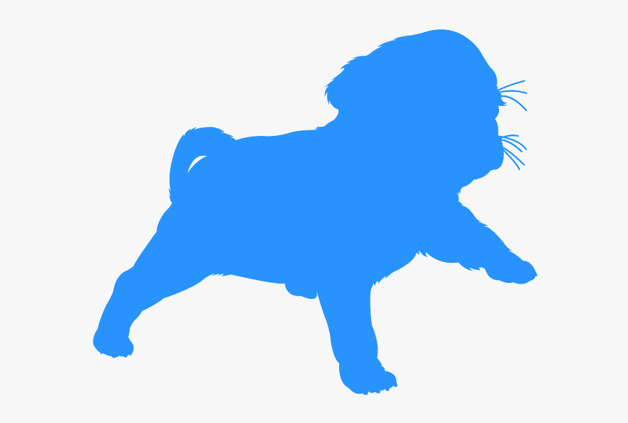 Companion Dog, Transparent Clipart