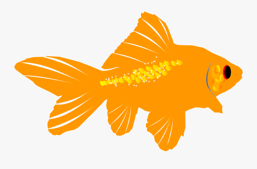 Free To Use Public Domain Sea Creatures Clip Art - Goldfish, Transparent Clipart