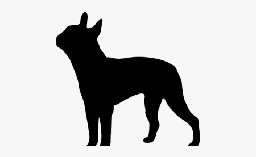 Boston Terrier Clipart Silhouette Black Boston Terrier Png