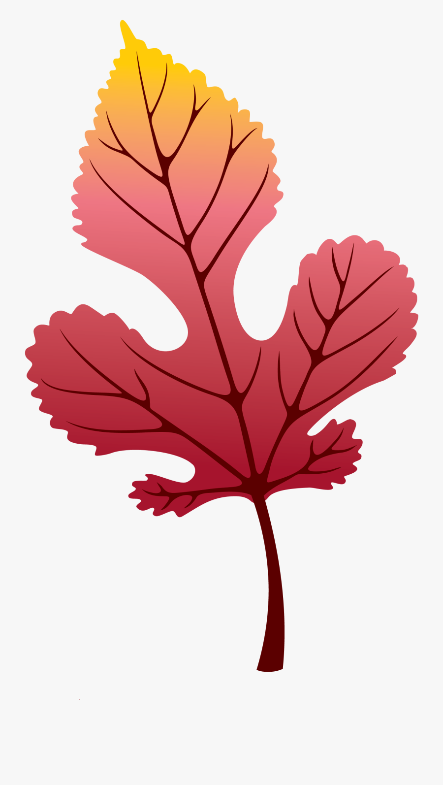 Leaf, Transparent Clipart