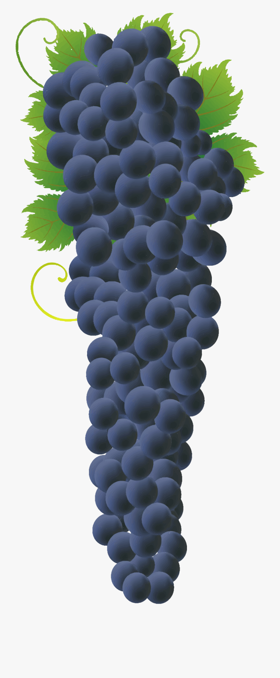 Grapes Clipart Bunch Grape - Grape, Transparent Clipart