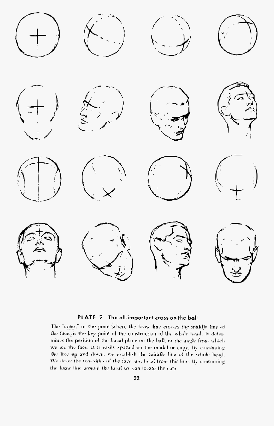 Clipart - Drawing Head And Hands Loomis , Free Transparent Clipart ...