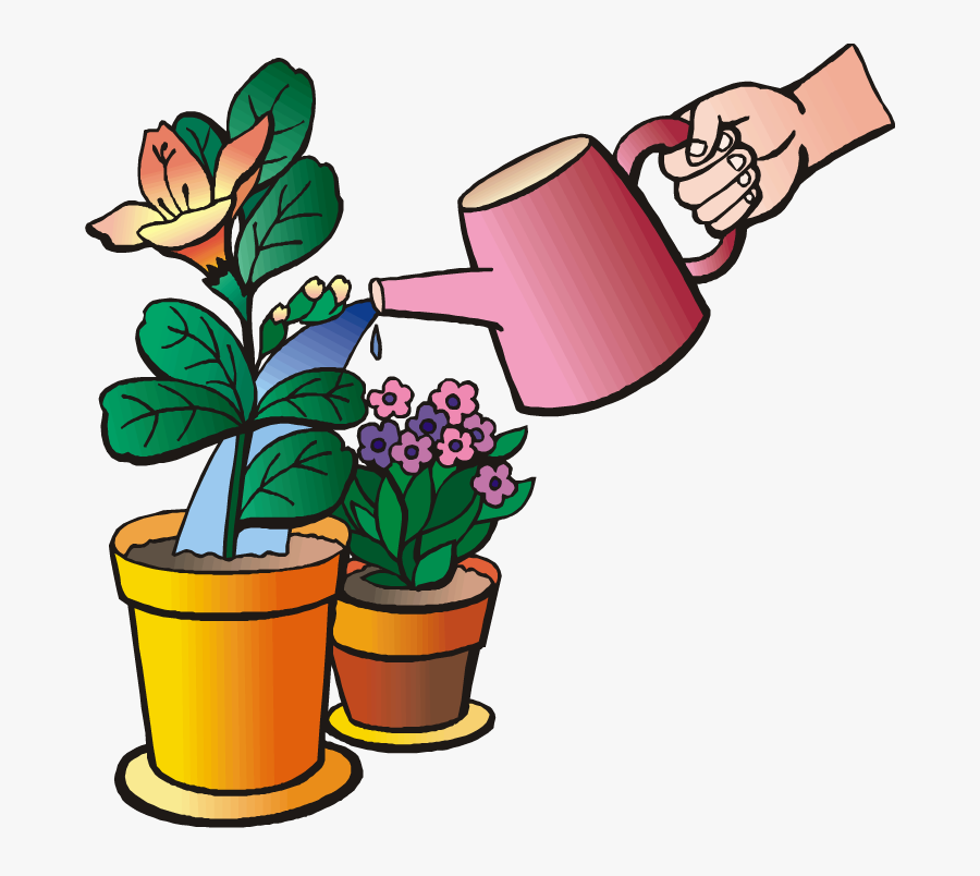 Watering Plants Clipart Png Water Plant Clipart Clipground - Please Water My Plants, Transparent Clipart