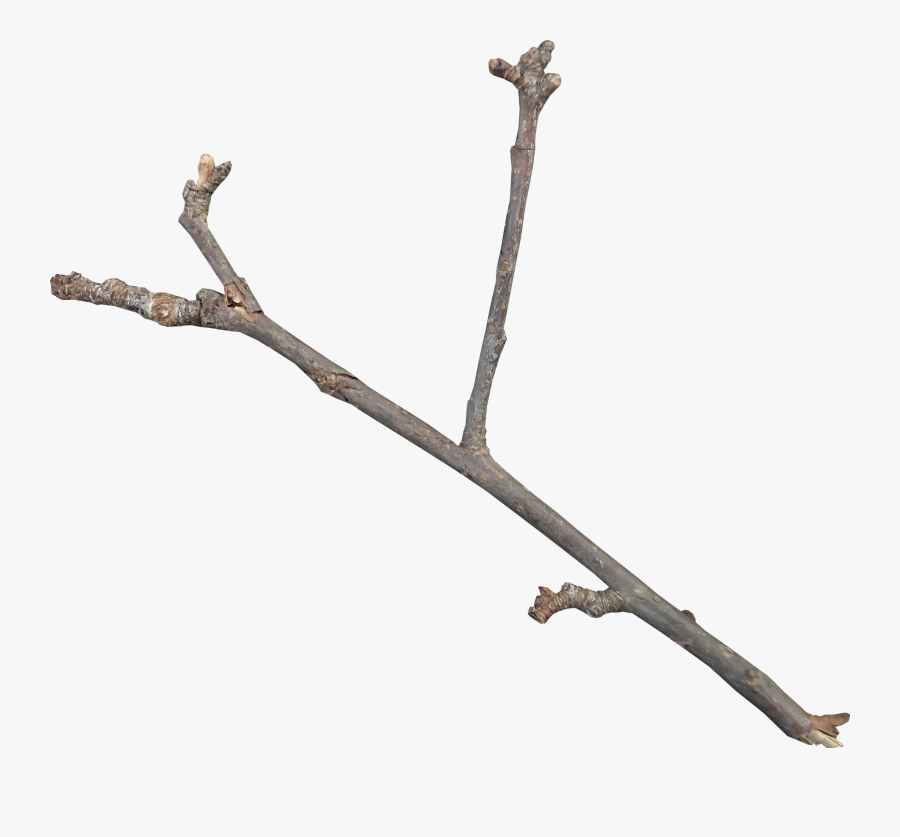 Twig Download Icon - Twigs Png, Transparent Clipart