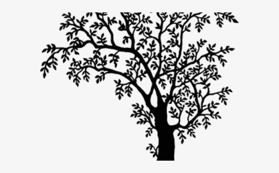 Tree Line Art - Tree Png Black And White, Transparent Clipart