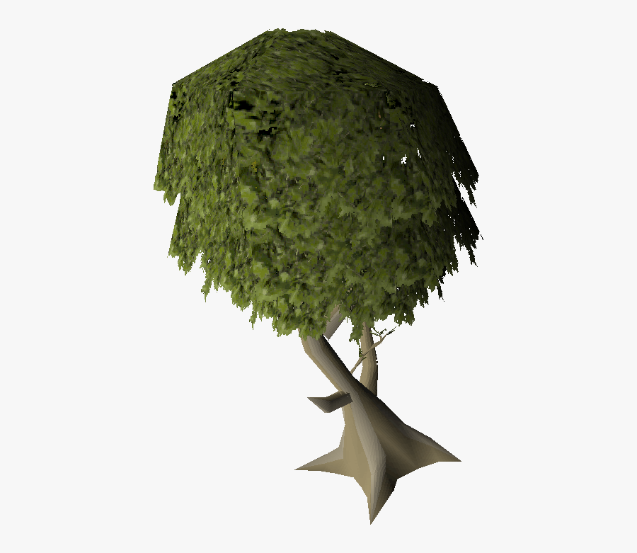 Mature Old School - Old School Runescape Tree, Transparent Clipart