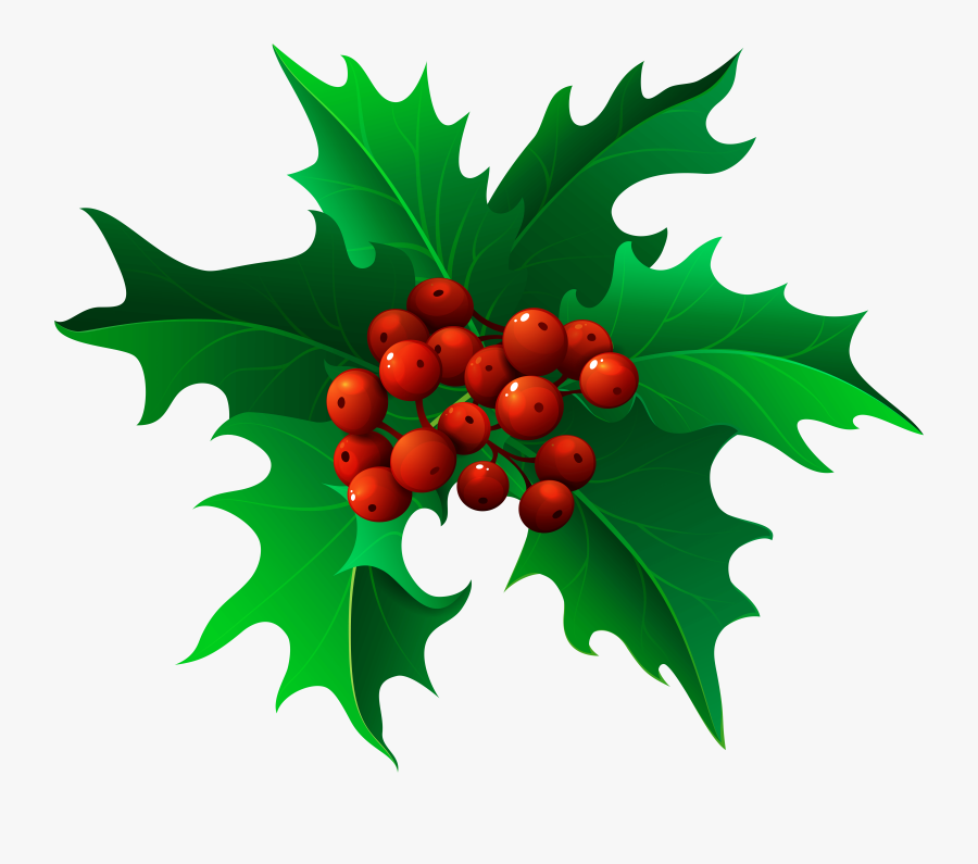Christmas Holly Mistletoe Png - Transparent Background Holly Clipart, Transparent Clipart