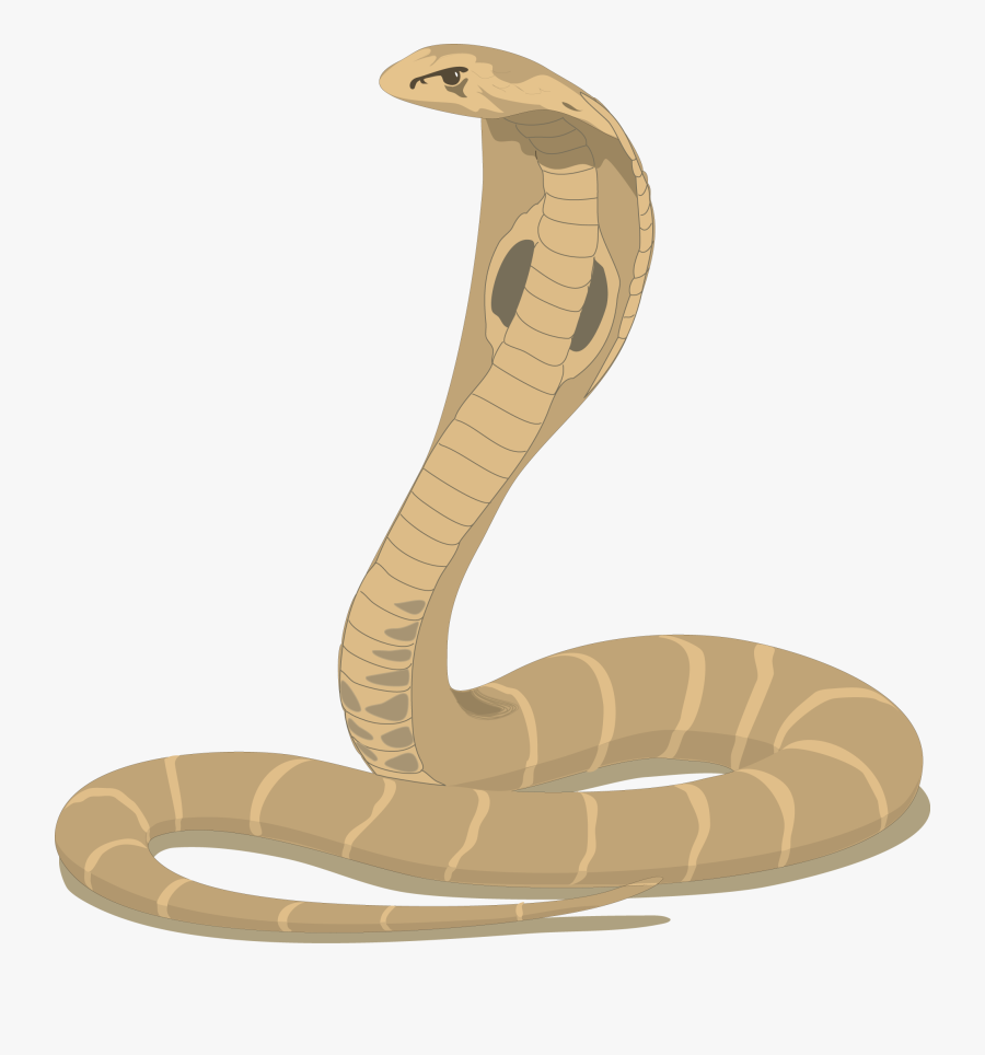 Cobra Snake Cartoon - Happy Nag Panchami , Free Transparent Clipart ...