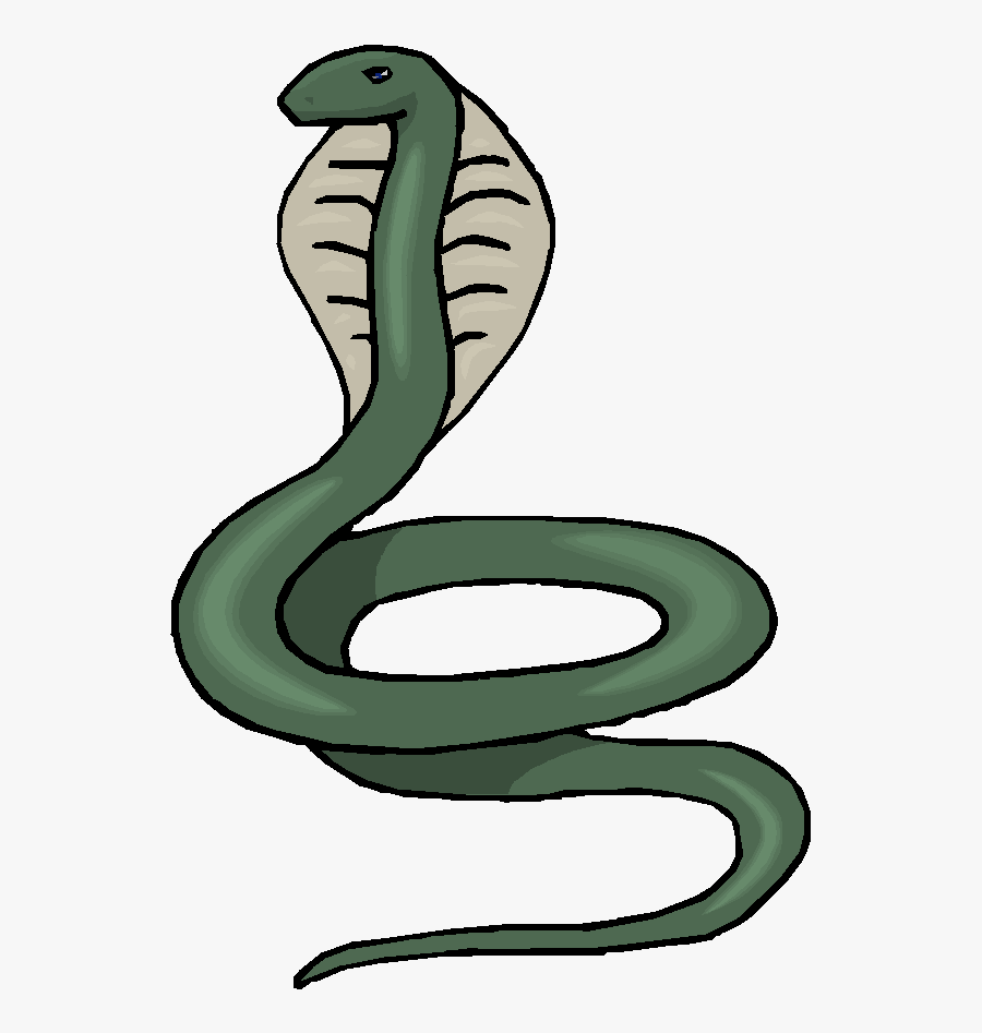 Png Black Snake Background - Transparent Background Snake Clipart, Transparent Clipart