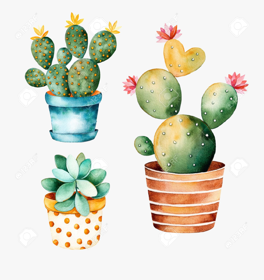 Cactus Clipart Free Watercolor Handpainted Plant And - Potted Cactus Watercolor, Transparent Clipart