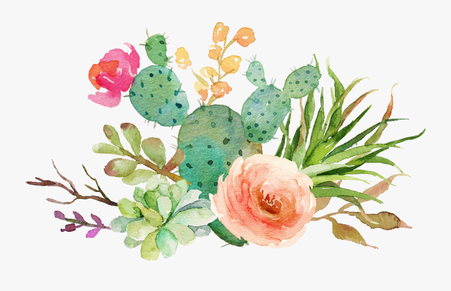 Transparent Watercolor Cactus Png - Watercolor Succulent Transparent Background, Transparent Clipart