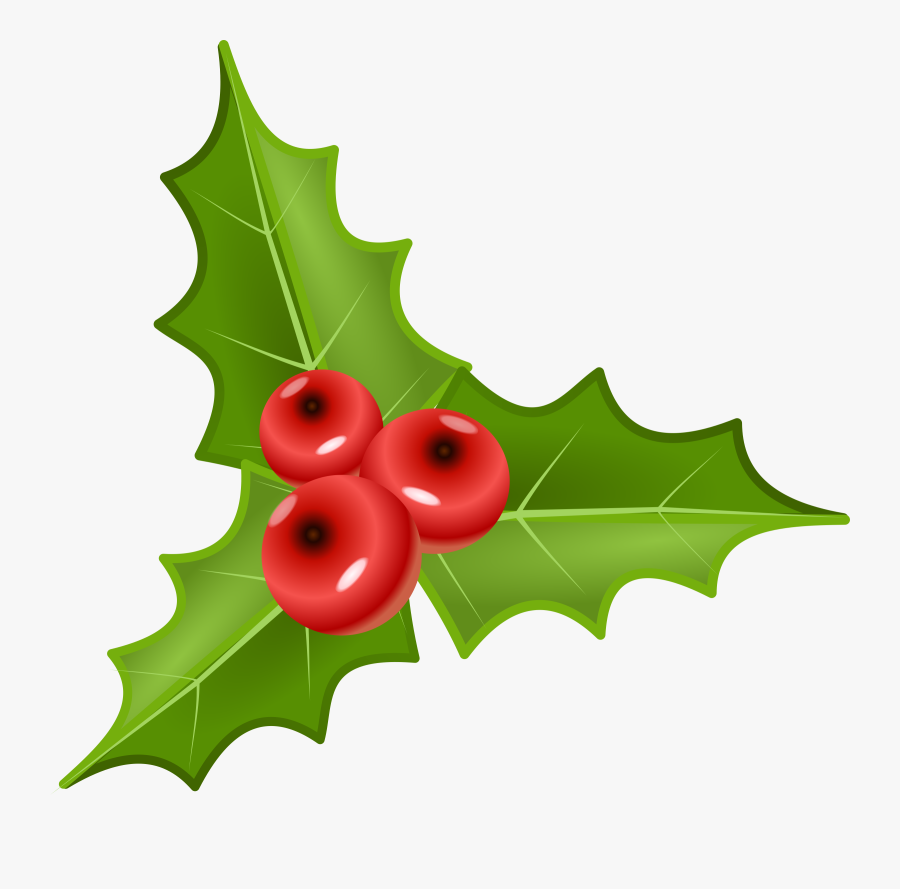 Houx, Holly - Holly Plant Png, Transparent Clipart