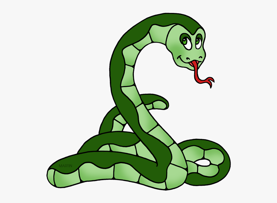 Snake, Transparent Clipart