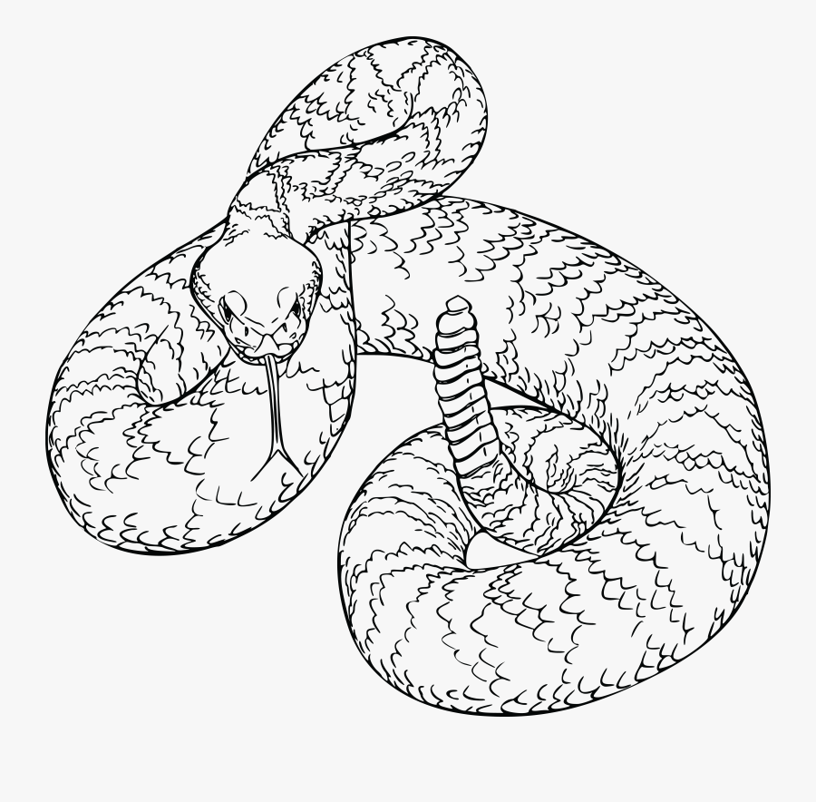 Transparent Rattlesnake Png - Rattlesnake Clipart Black And White, Transparent Clipart