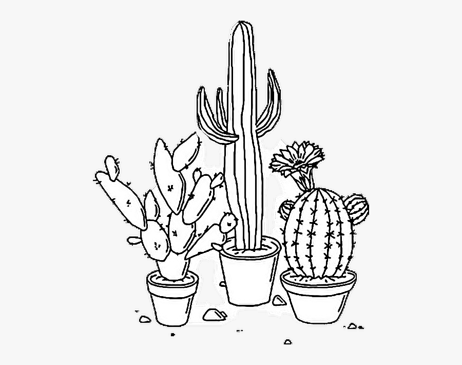 Transparent Cactus Clip Art - White And Black Aesthetic Png, Transparent Clipart