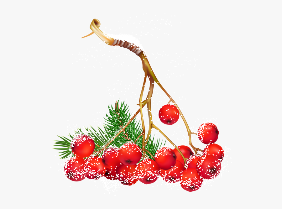 Transparent Strawberry Shortcake Clipart - Christmas Berries Png, Transparent Clipart