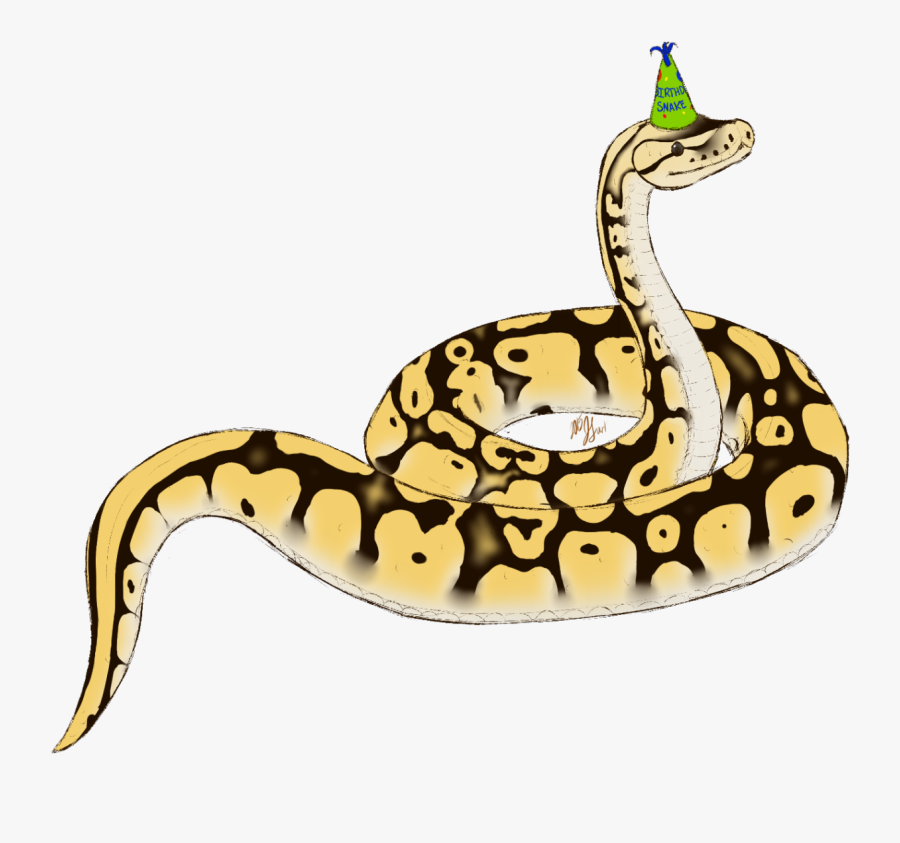 Free Snake Birthday Clipart, Transparent Clipart