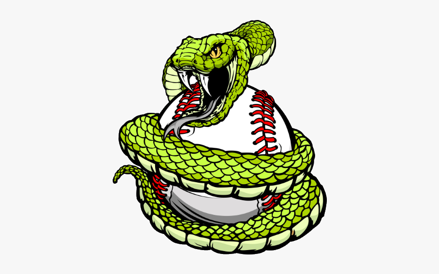 Snake With Baseball Clipart, Transparent Clipart