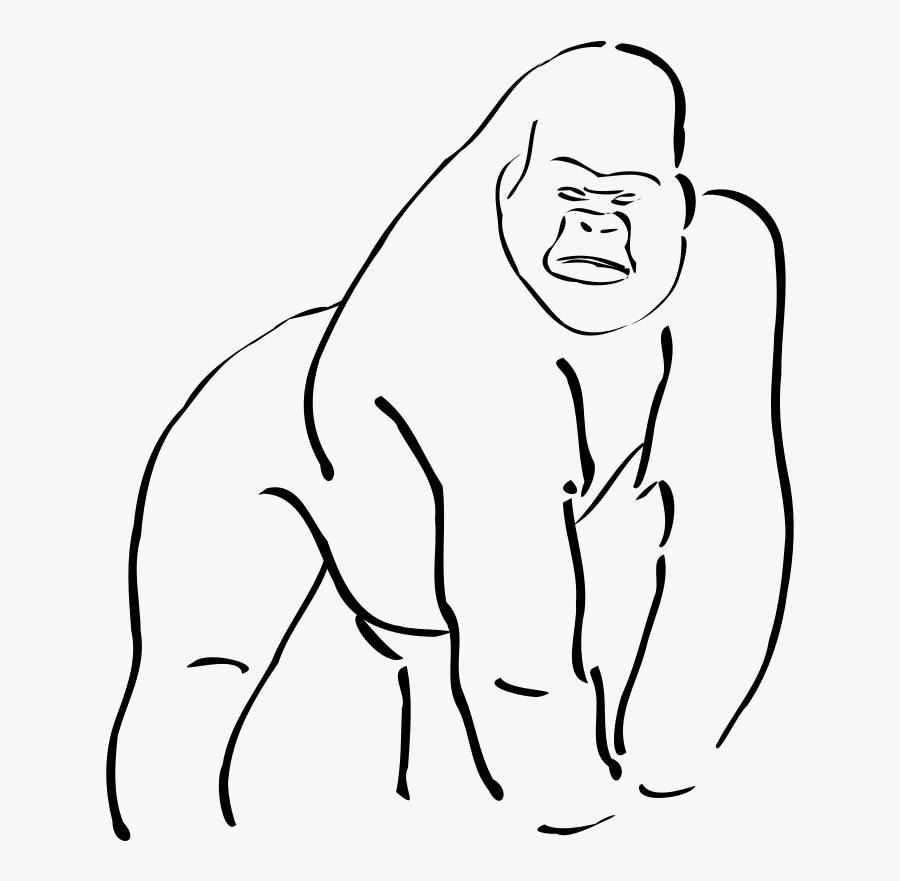 Gorilla Clipart Cartoon - Cross River Gorilla Drawing, Transparent Clipart