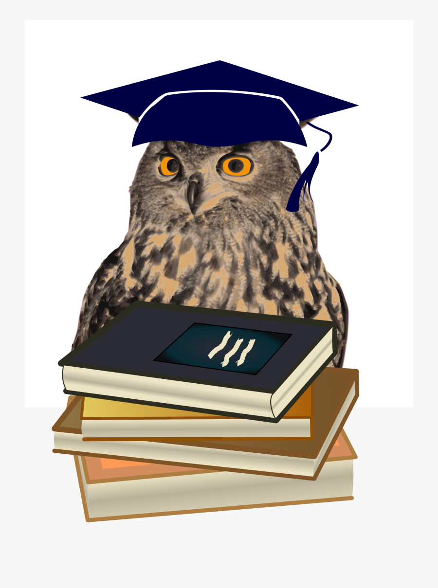 Png Transparent Stock As Wisdom Symbol Big - Graduations Owls, Transparent Clipart