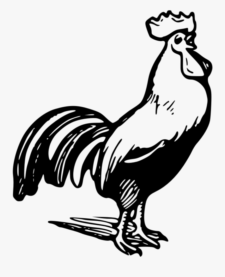 Rooster In Color Free - Rooster Black And White Clipart, Transparent Clipart