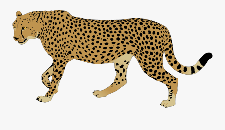 Cheetah Clip Art - Clipart Leopard, Transparent Clipart