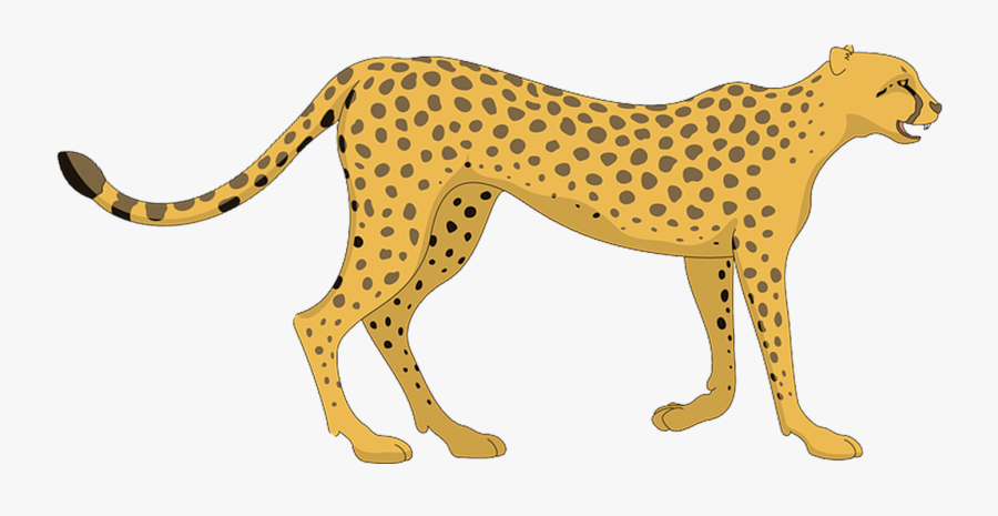 Clip Art Leopard Clip Art Transprent - Cheetah Clipart , Free ...